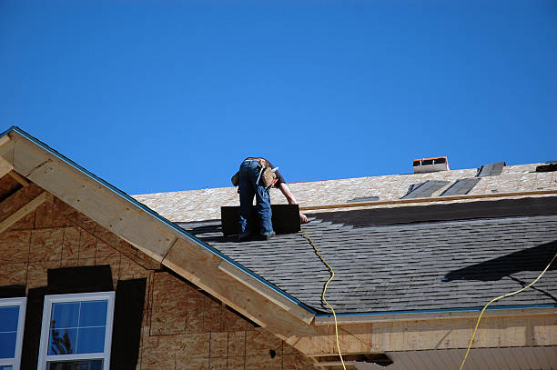 Best Storm Damage Roof Repair  in Harrogate, TN