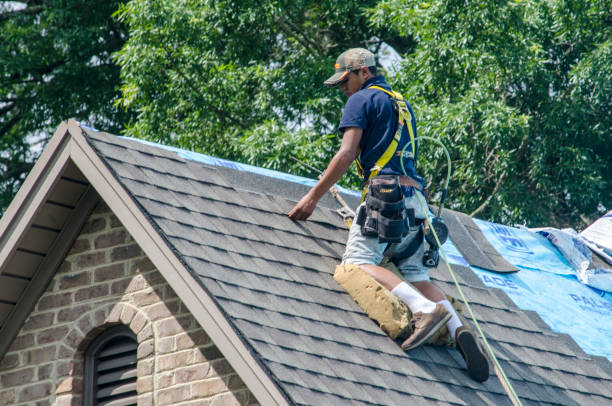 Best Flat Roof Repair Services  in Harrogate, TN